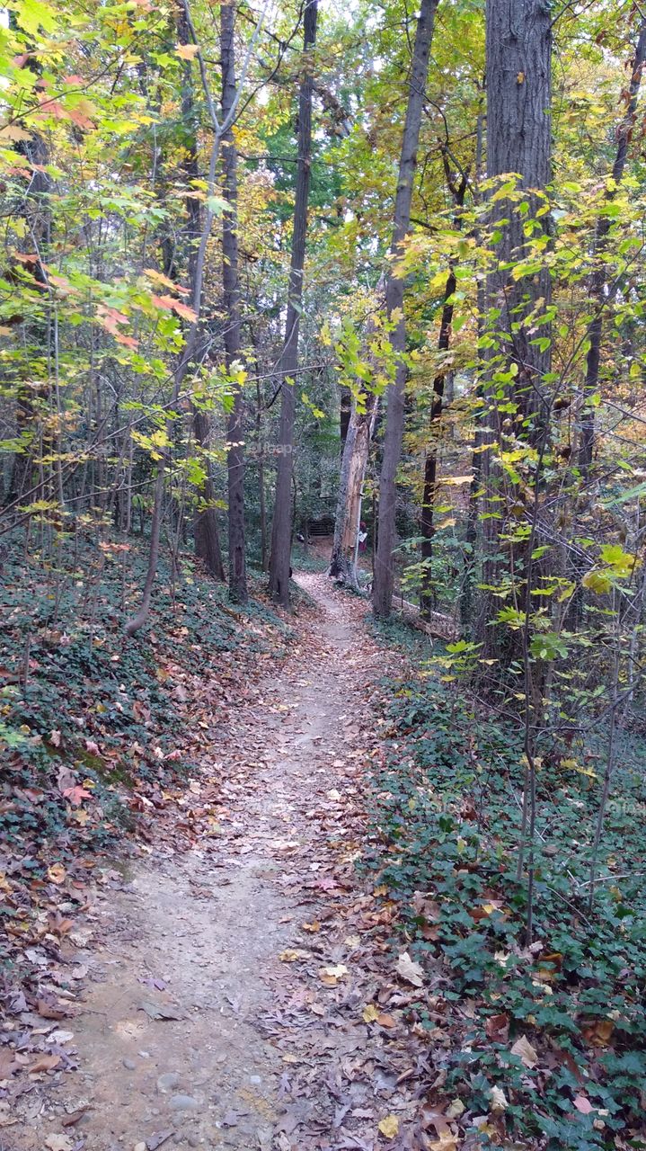 Trail at Forest Hill Park, Richmond, Virginia