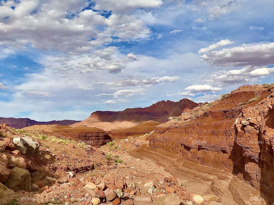 Dry River Bed Landscape 