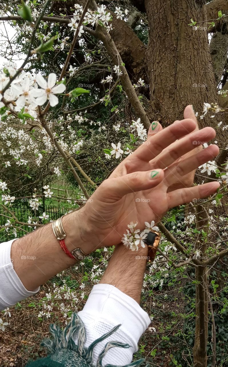 Spring is in the air