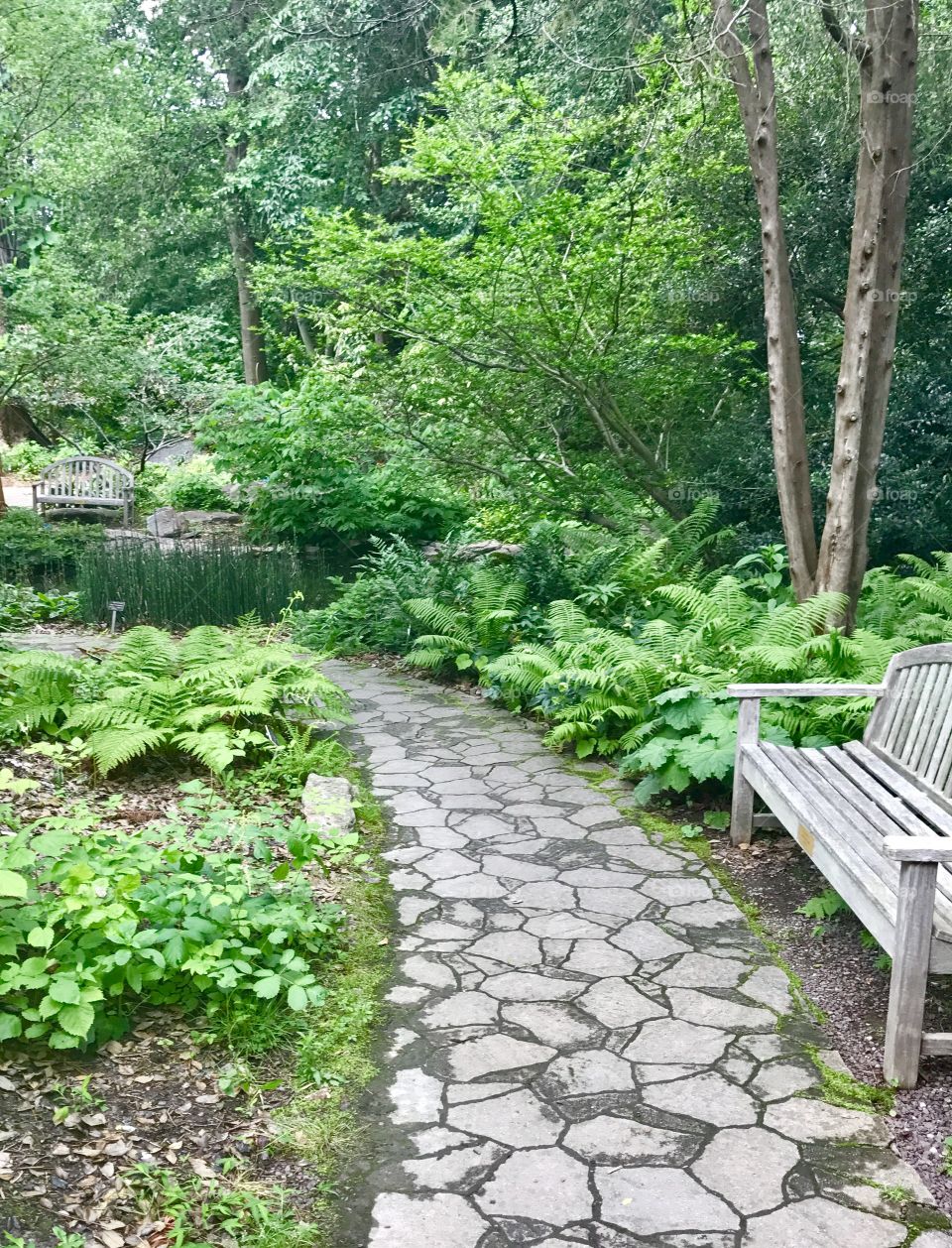 Stone Pathway