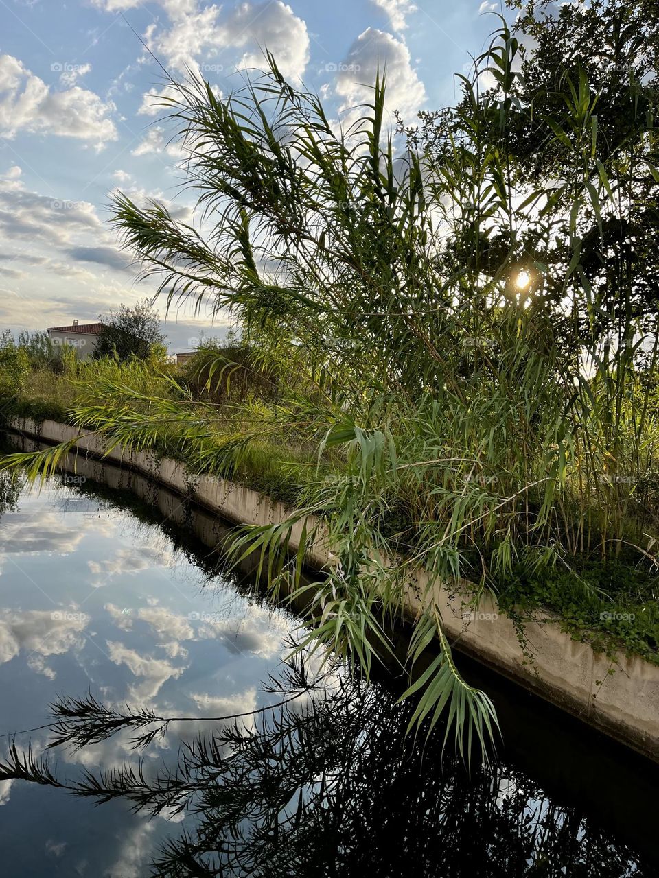 Clouds and nature reflecting their beauty in the mirror of water…