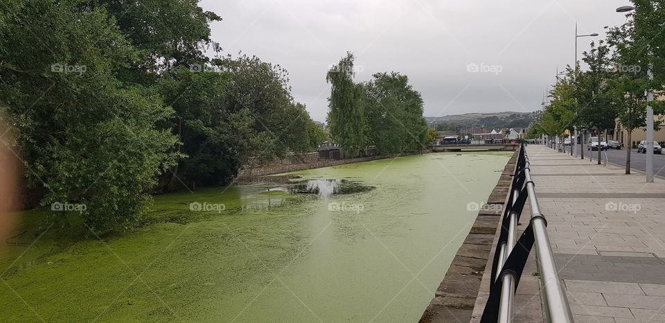 Newry river canal