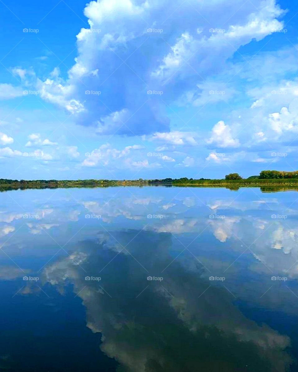 Clouds.  Above the water is a blue sky with large clouds that are reflected in the water. A green forest is visible on the horizon