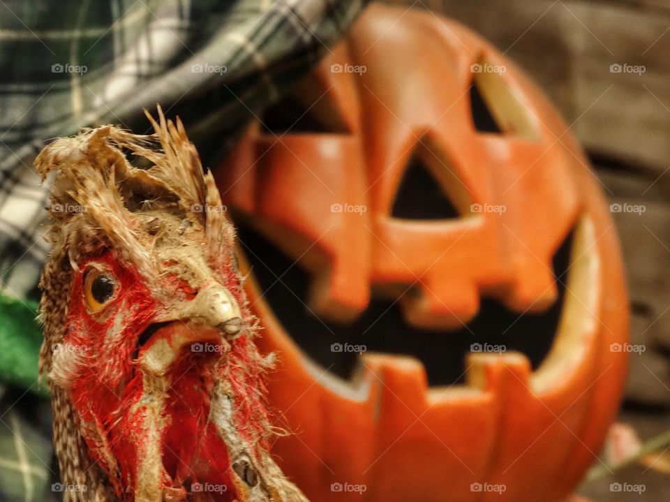 Grinning Jack-o-Lantern With An Eerie Dead Bird