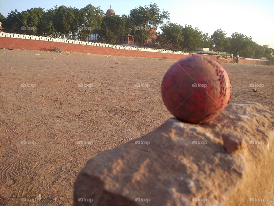 Cricket Time
