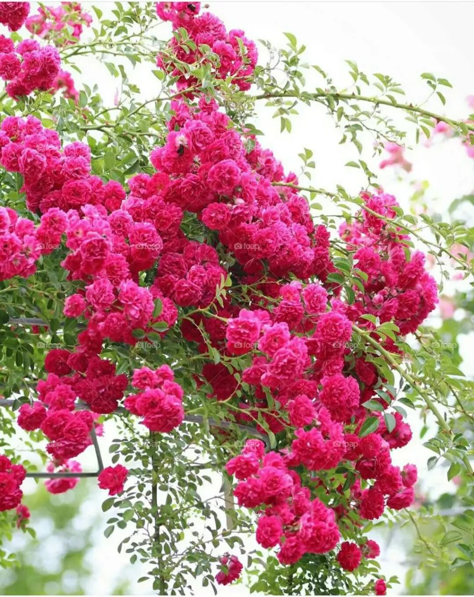 my photo like please