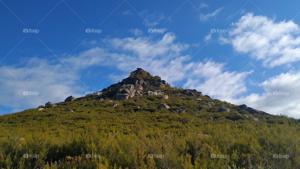Rocks on top of the mountain surrounded by bushes