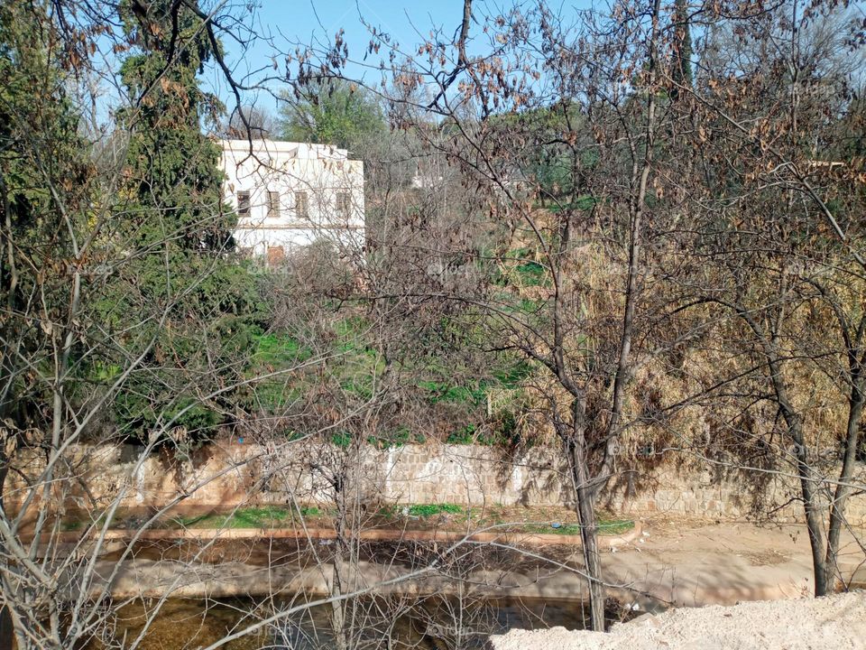 House's between the nature