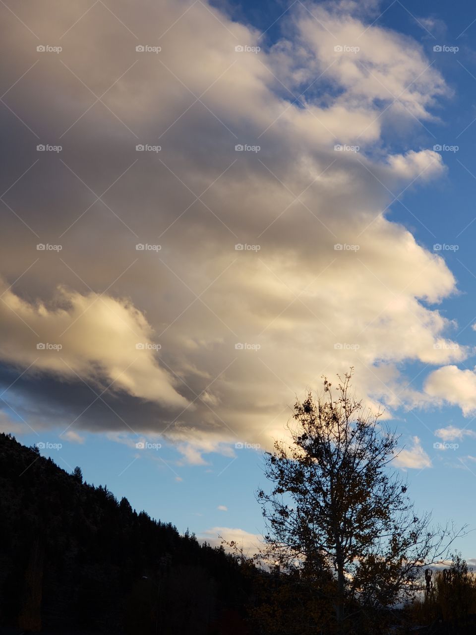 Beautifully lit evening clouds in a bright blue sky over a sillohetted tree and butte at sundown in Central Oregon.