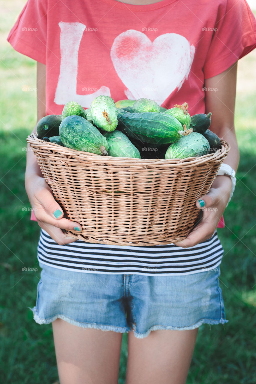 Girl carrying cucumbers. Girl carrying wicker basket with cucumbers