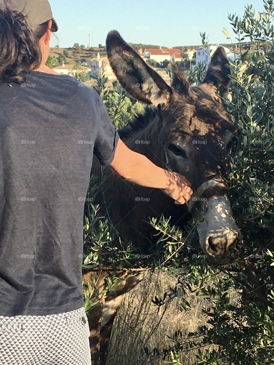 Young natural woman and donkey