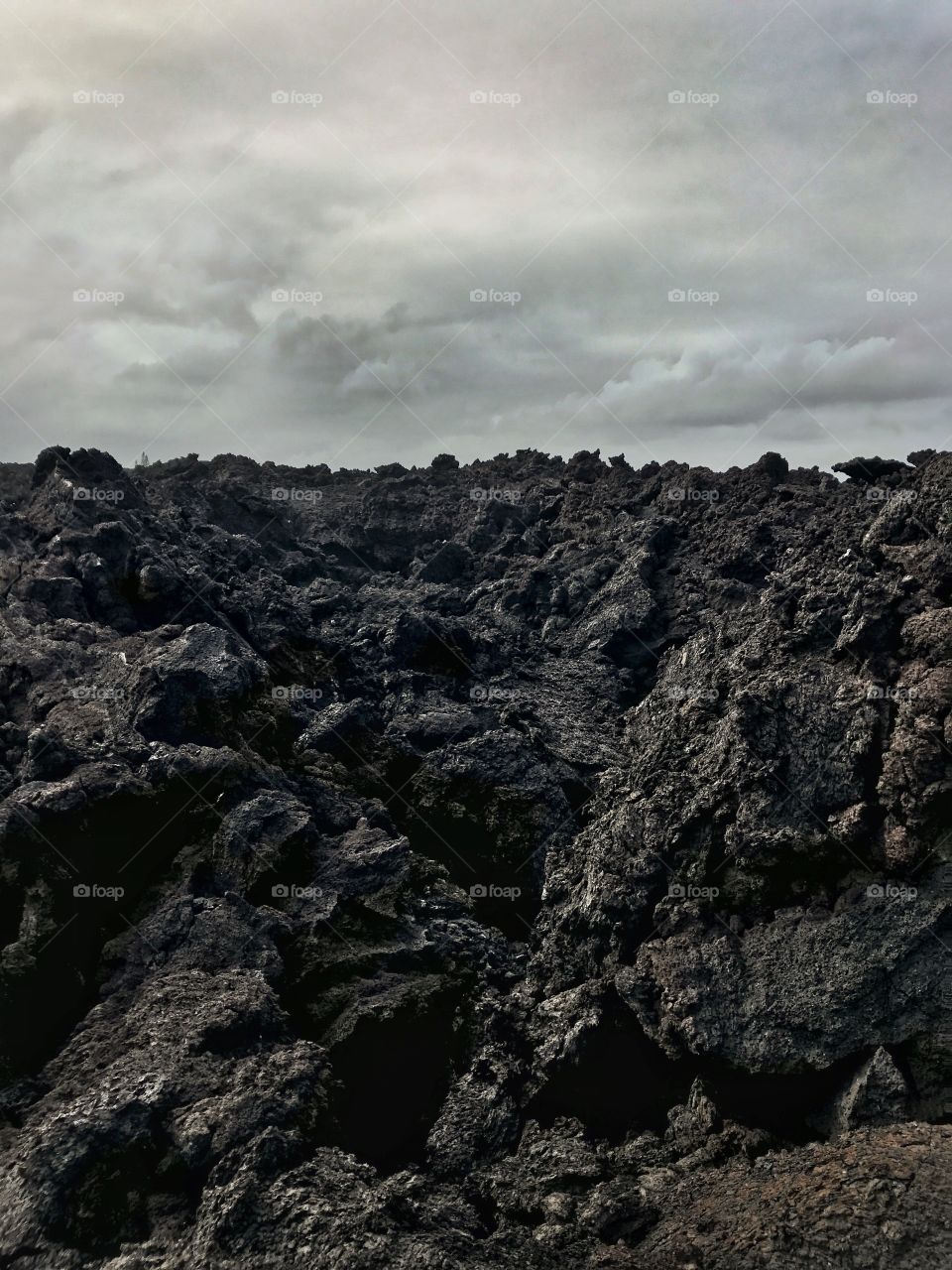 Lava Fields Big Island Hawaii