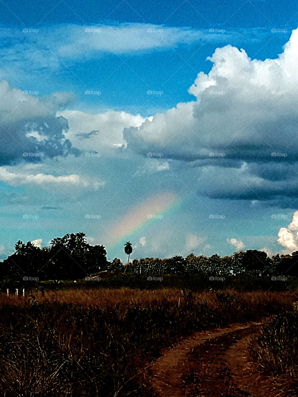 arco íris