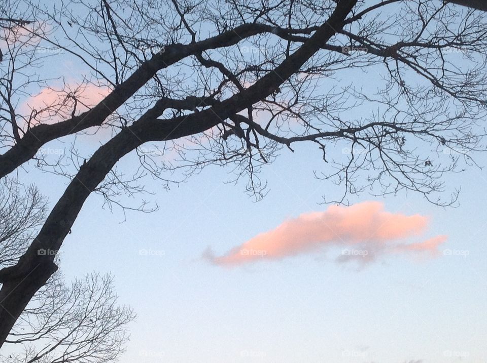 Pink clouds in the sky during sunset.