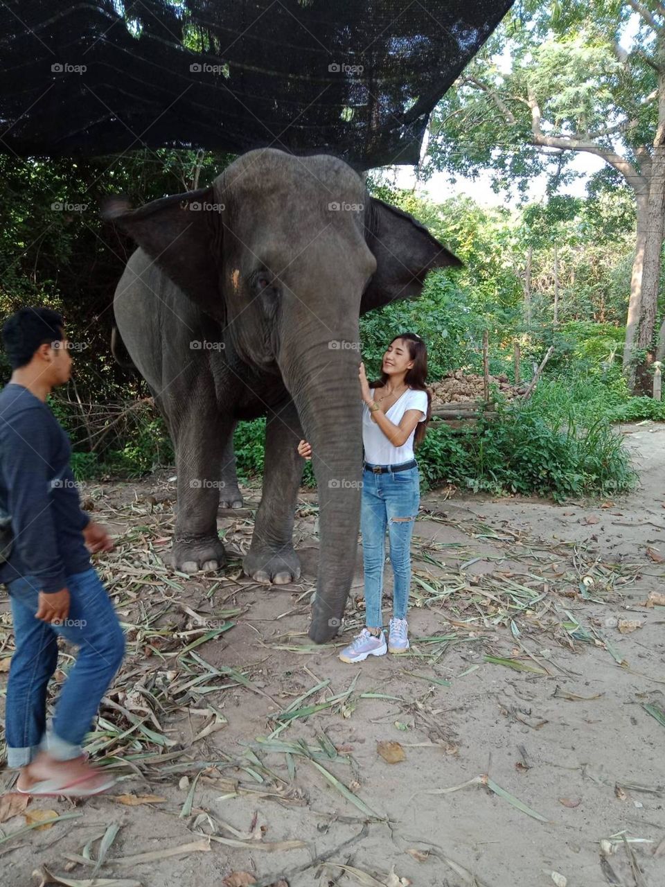 lady talk to elephant