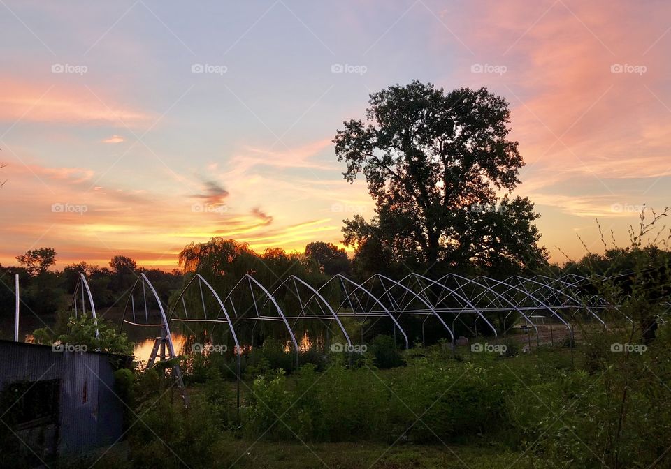 Sunrise Over Holiday Lake, Holiday Lake, Sunrise, sunrise, lake, greenhouse, shed, wood, wooden, floating, water, clouds, reflection, cloudscape, summer, vacation, scenic, grass, trees, light, beautiful, quiet, calm, serene, sky, pond, Missouri 