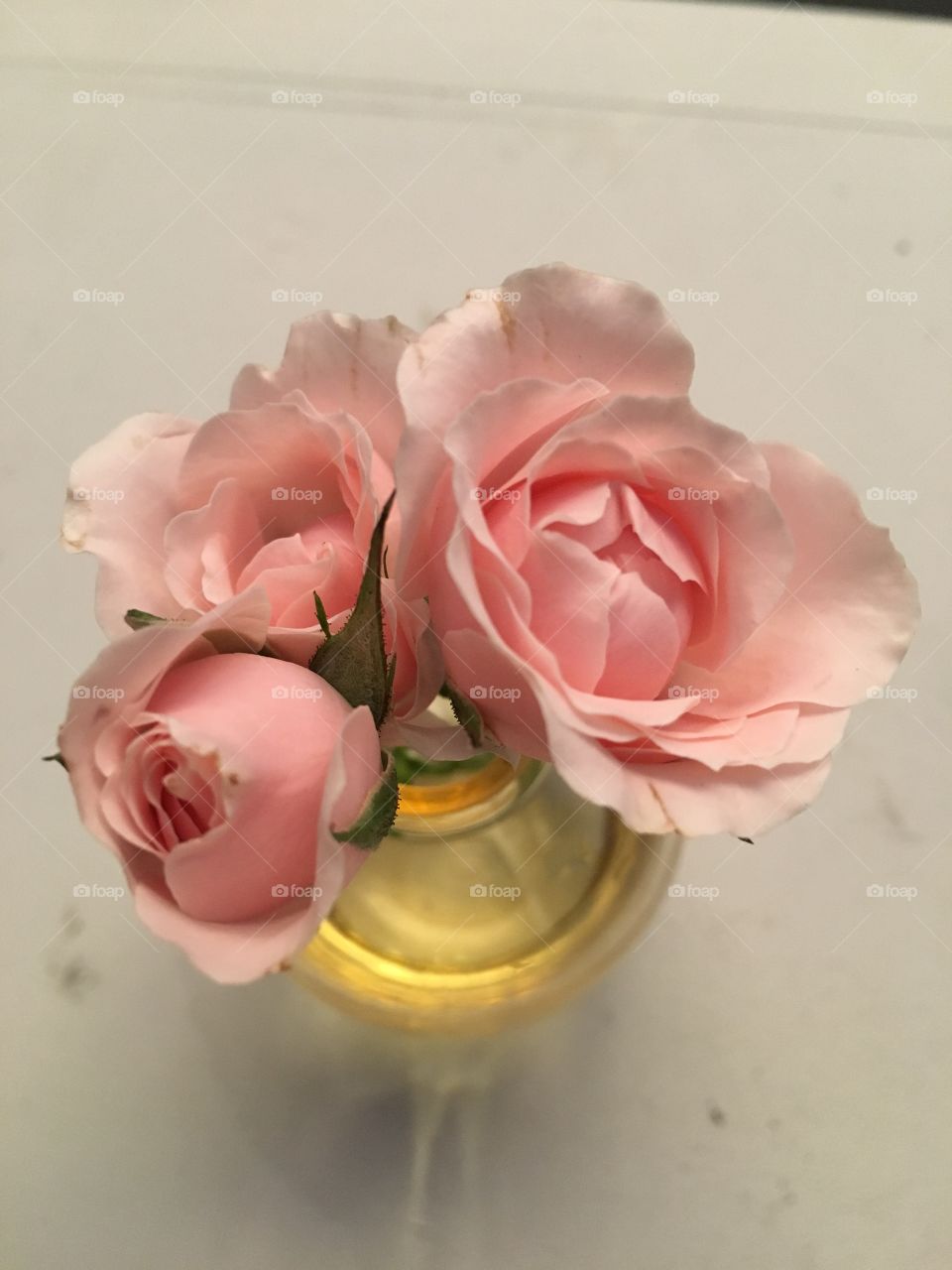Bella foto de rosas cálidas  y delicadas en completa armonía 