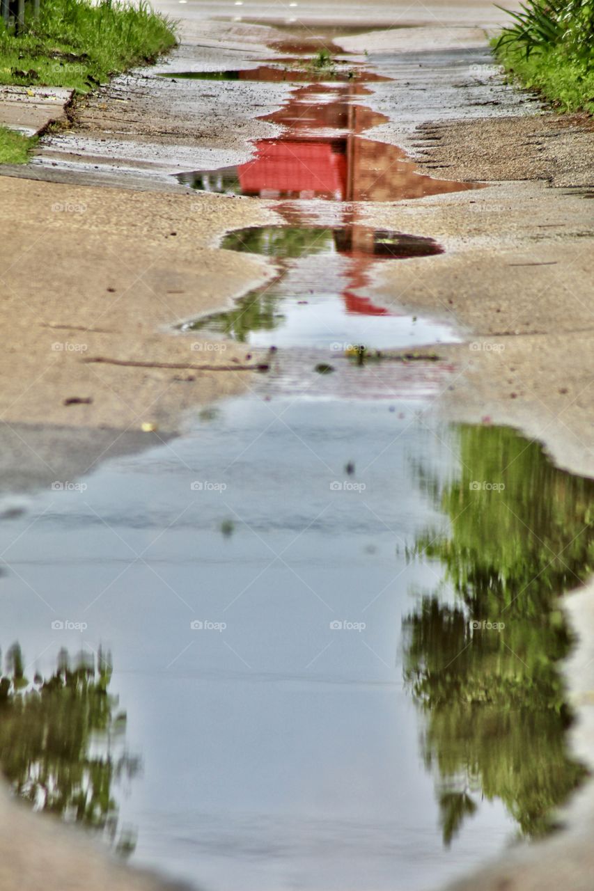 After the rain puddle 🌧