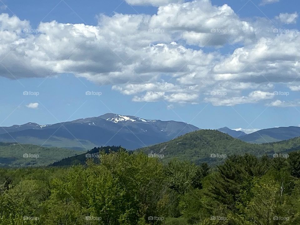 Snow on the Mountain 