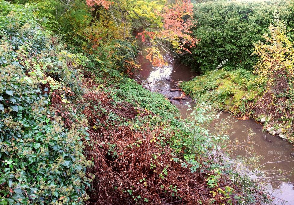 Somewhere in Sonoma, Ca.