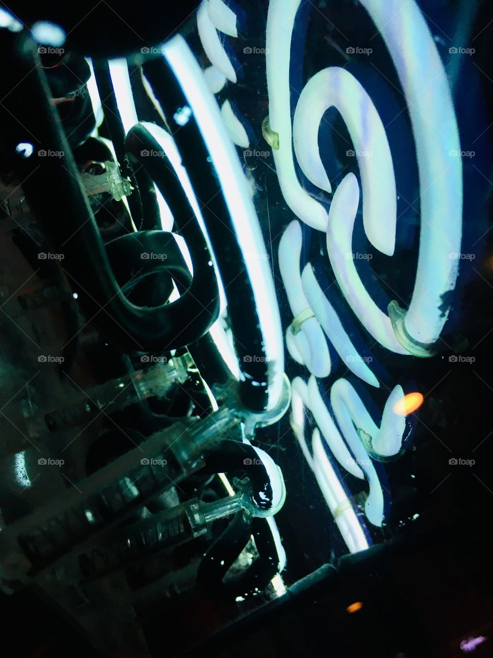 Neon lights in the window at Gator’s Dockside in Florida 