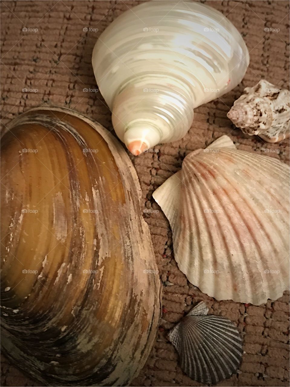 Multi shells