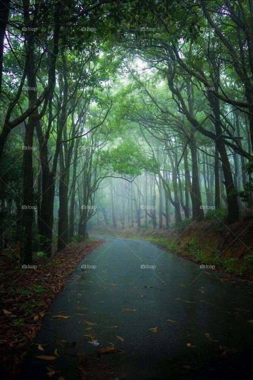 with a bit of editing it looks like a move seen