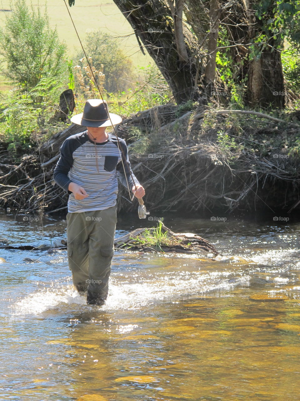 Fly fishing,  trout, Australia, river, stream, water, rod, fishing, outdoors, nature, grass, tree, 