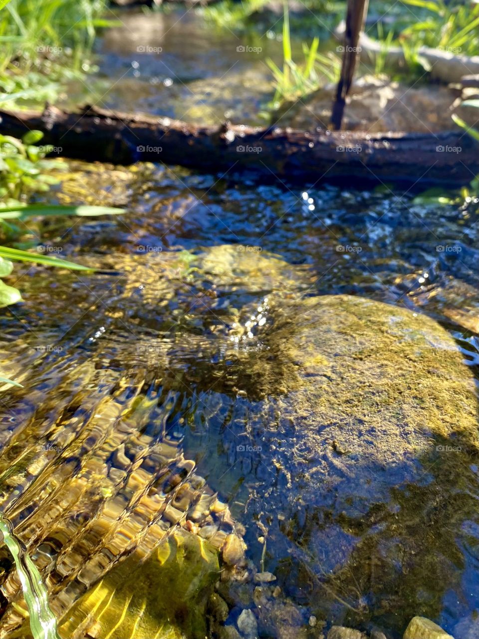 Creek at Limekiln Canyon Park in Los Angeles California 