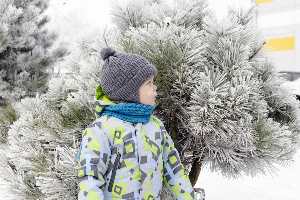 A small, carefree boy walks in winter through the white snow in the park, near the trees in the snow.