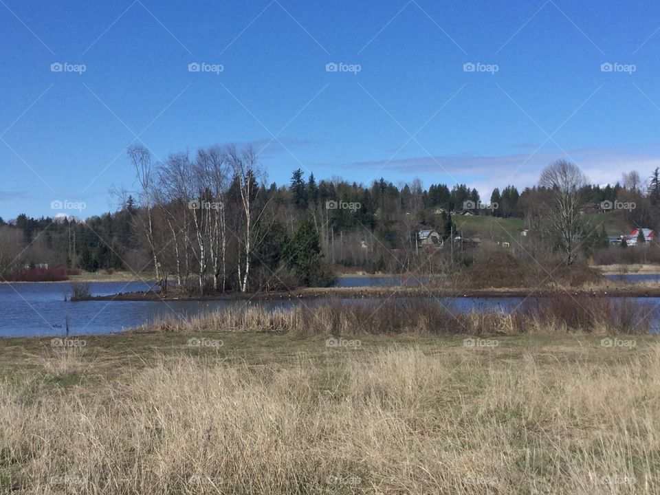 Grassland by the mountainside 