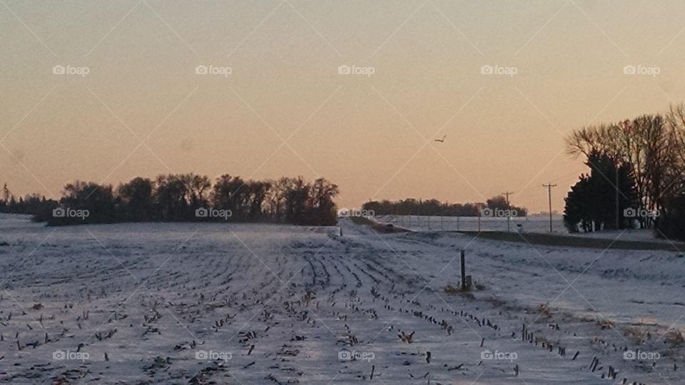 Winter, Snow, Frozen, Cold, Frost