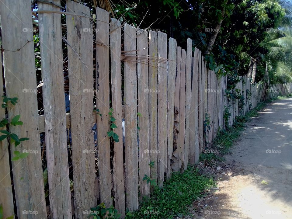 wooden fence ,teak