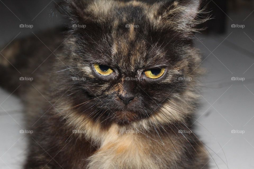 close up look at camera