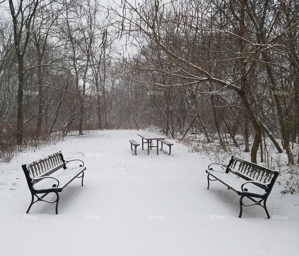 winter park with bench