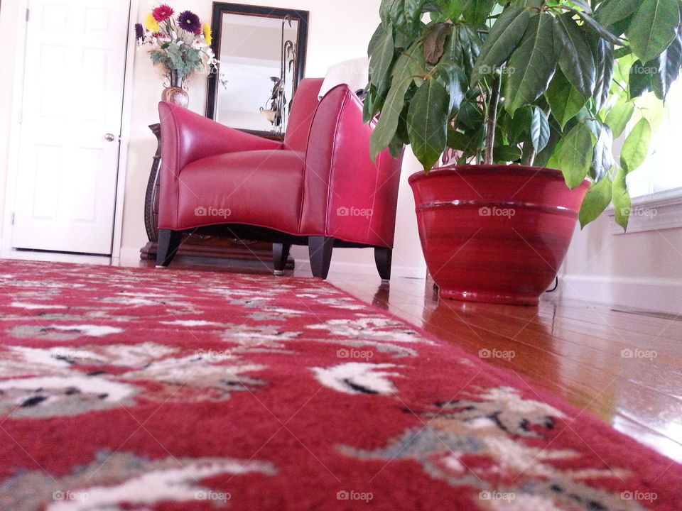 Red leather, carpet, vase..