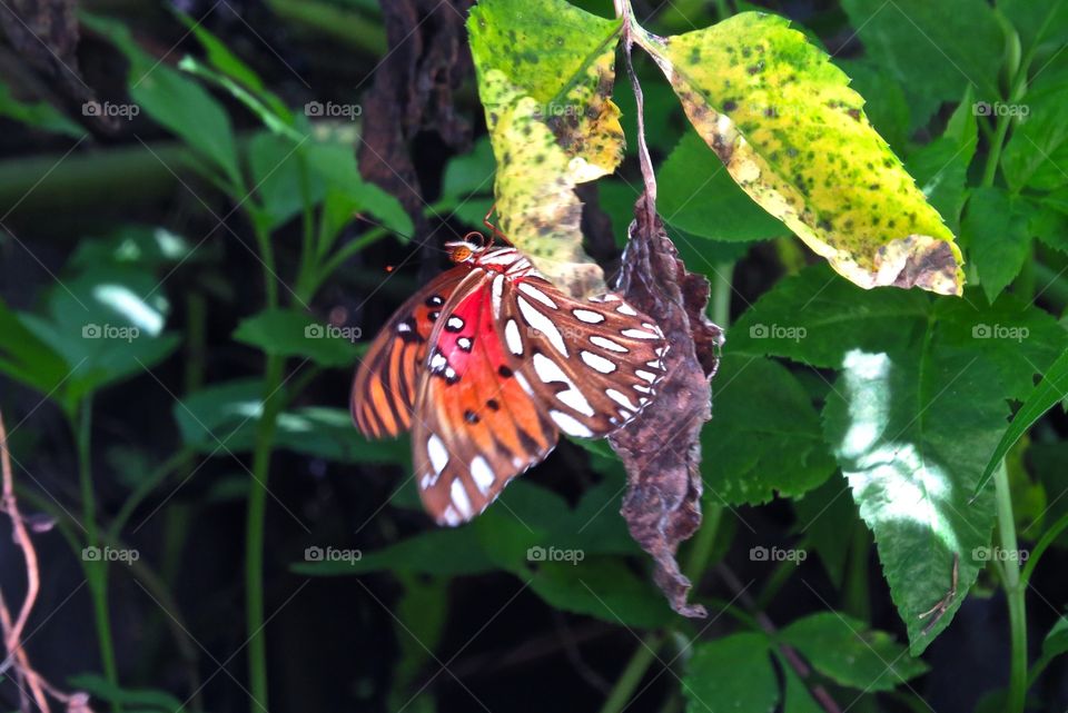 Hanging on for dear life