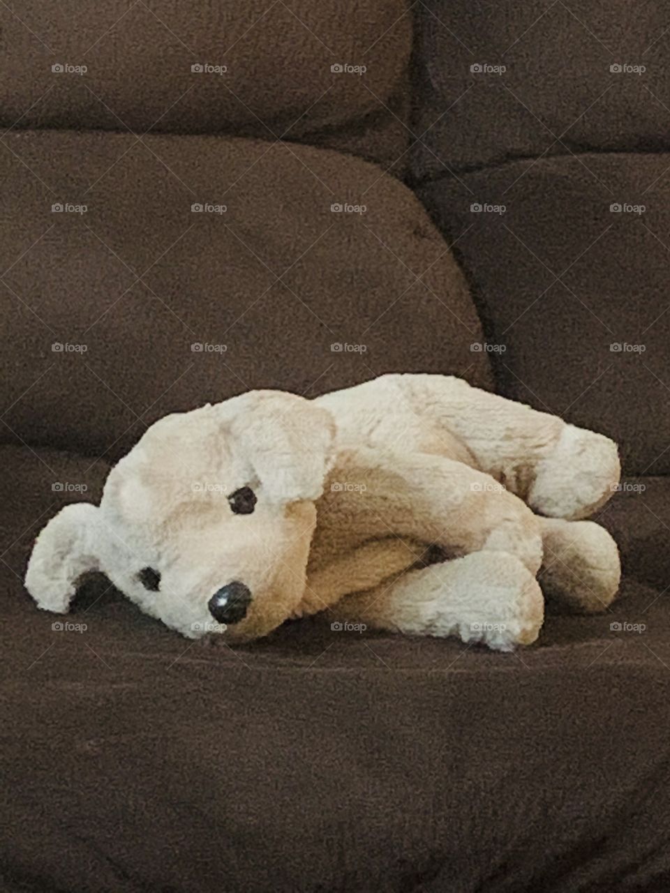 Stuffed dog being lazy 