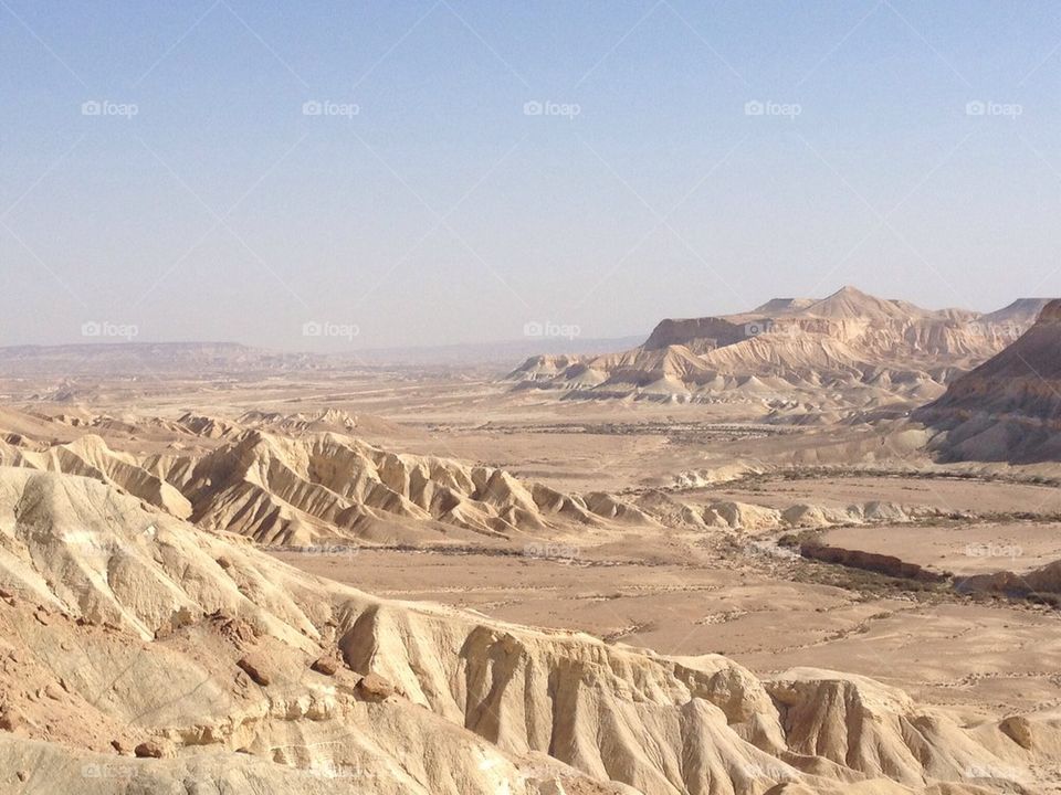 Israeli desert