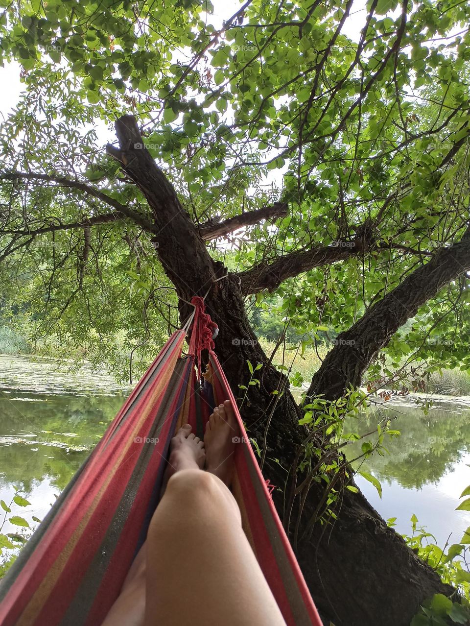 relaxing in a hammock by the river