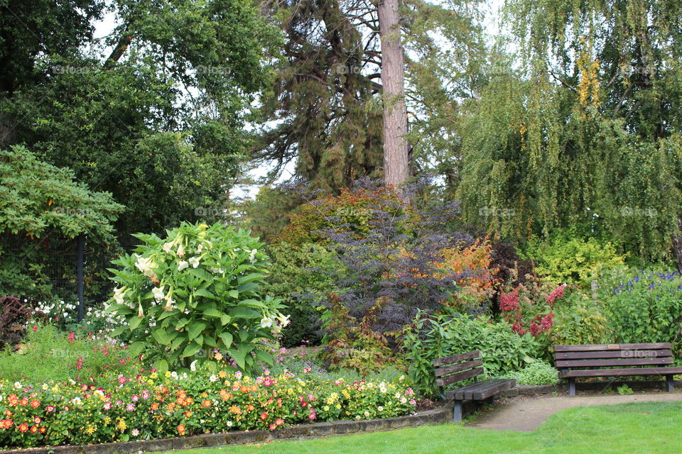 point defiance gardens 3