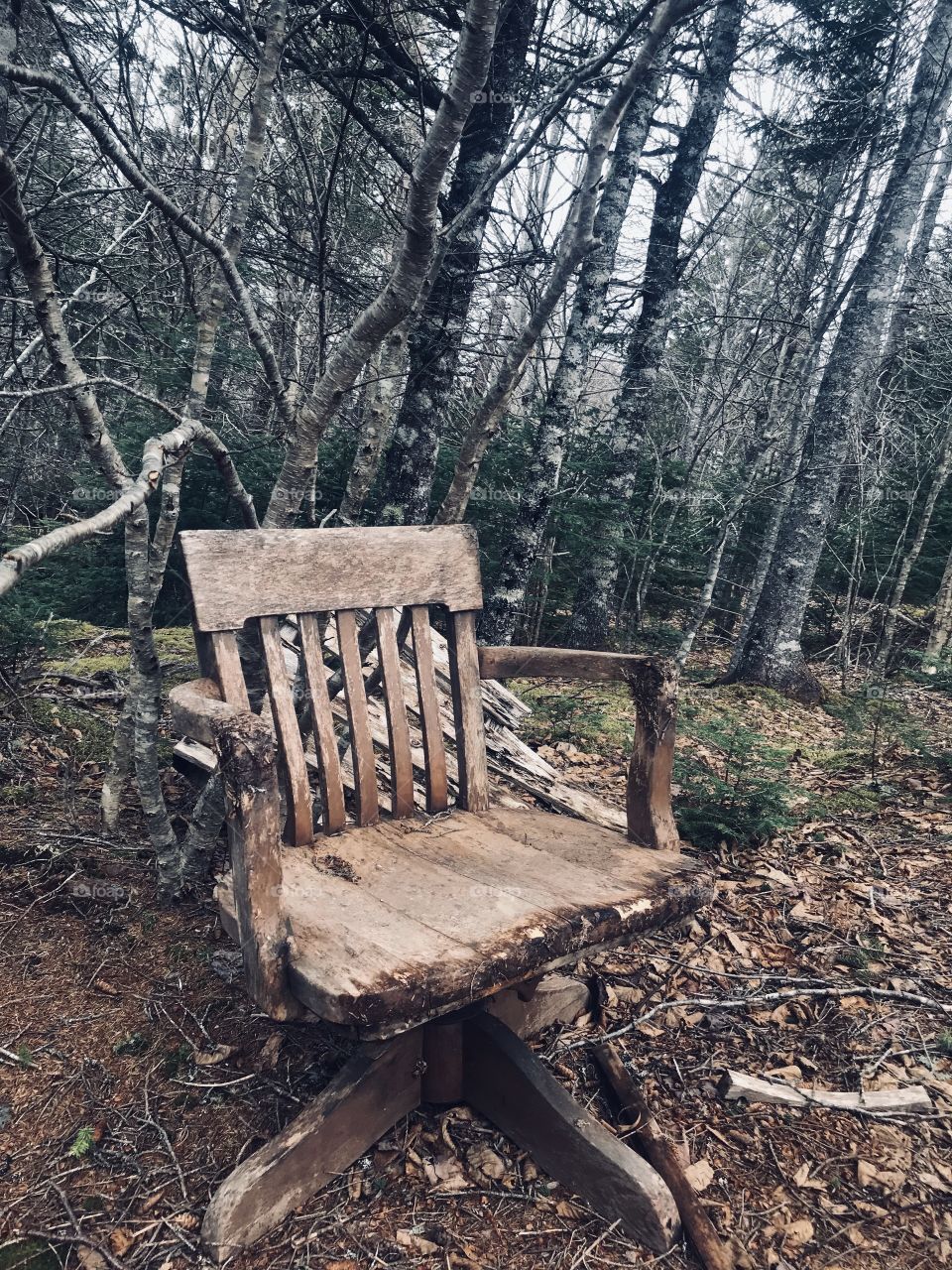 Weathered wood chair found in the forest. 