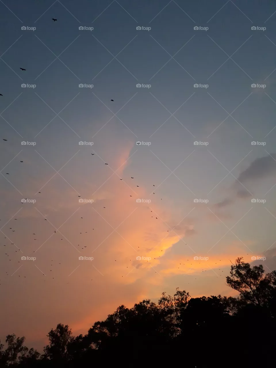 sun set