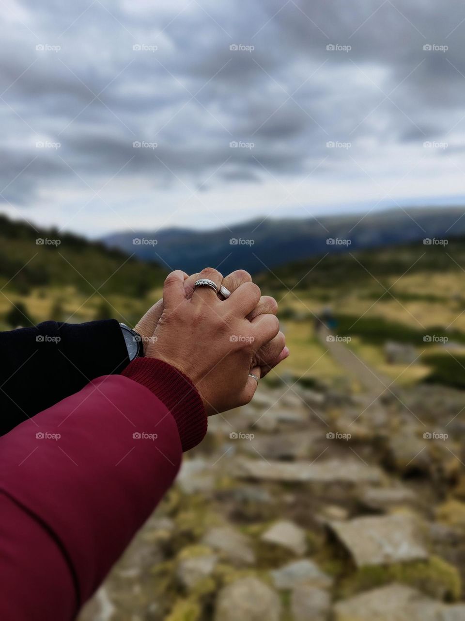 el complemento perfecto