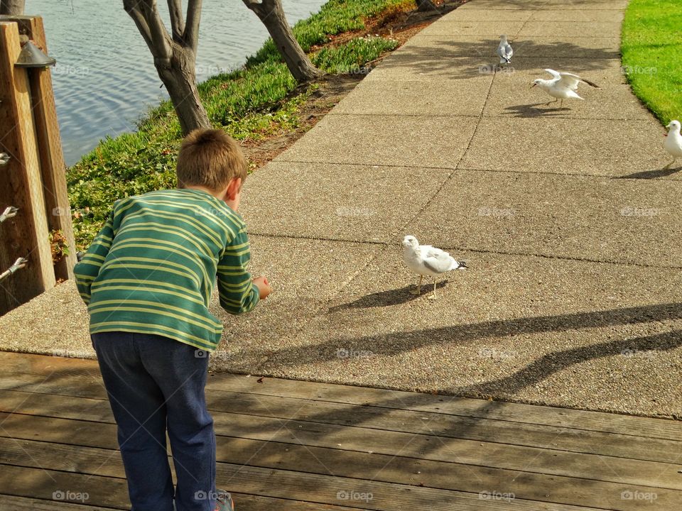 Boy Feeding Birds