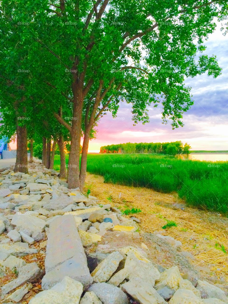 Green Bay at Sunset. The rocks and trees highlighted by the sunset 