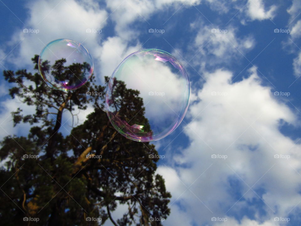Bubbles
