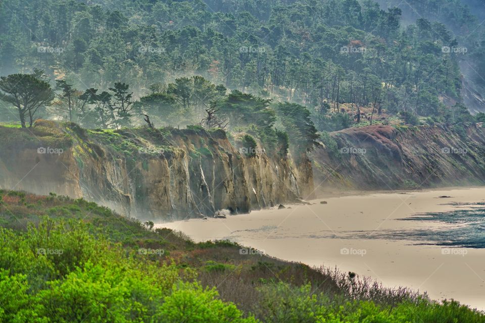 Coast Of Northern California 