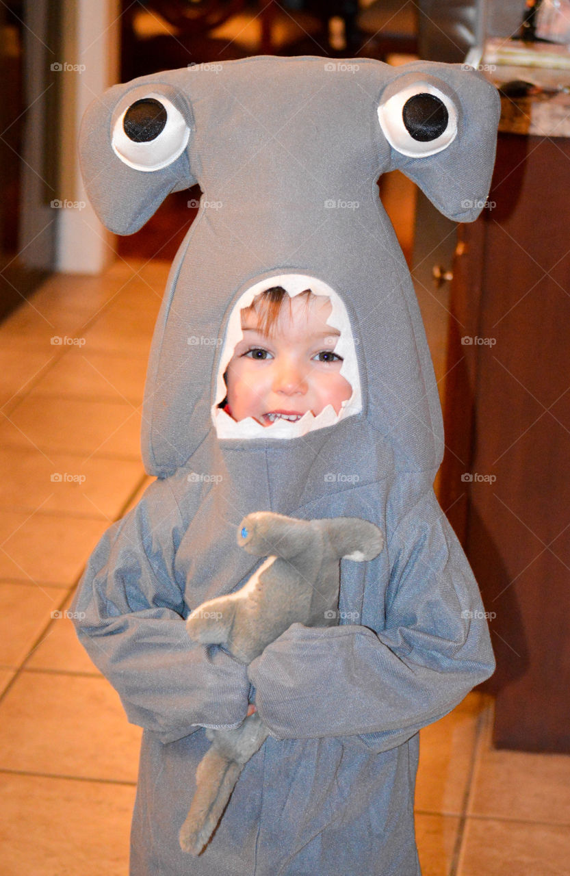 Toddler boy dressed as a hammerhead shark for Halloween