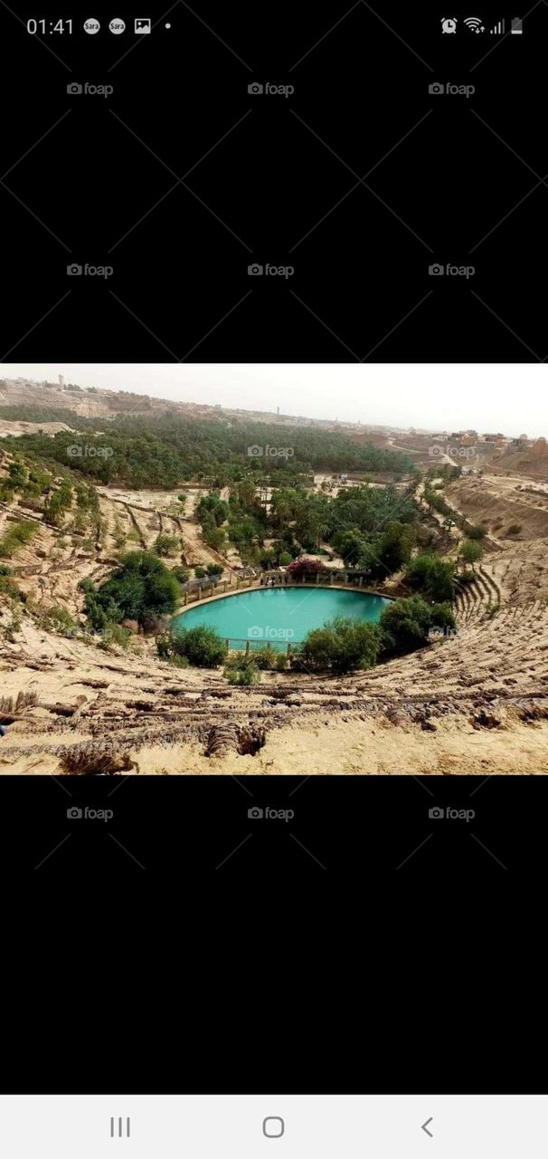 Corbeille Nefta/TUNISIE